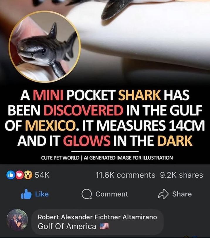 A MINI POCKET SHARK HAS BEEN DISCOVERED IN THE GULF OF MEXICO. IT MEASURES 14CM AND IT GLOWS IN THE DARK CUTE PET WORLD | AI GENERATED IMAGE FOR ILLUSTRATION 11.6K comments 9.2K shares 54K Like Comment Robert Alexander Fichtner Altamirano Golf Of America Share