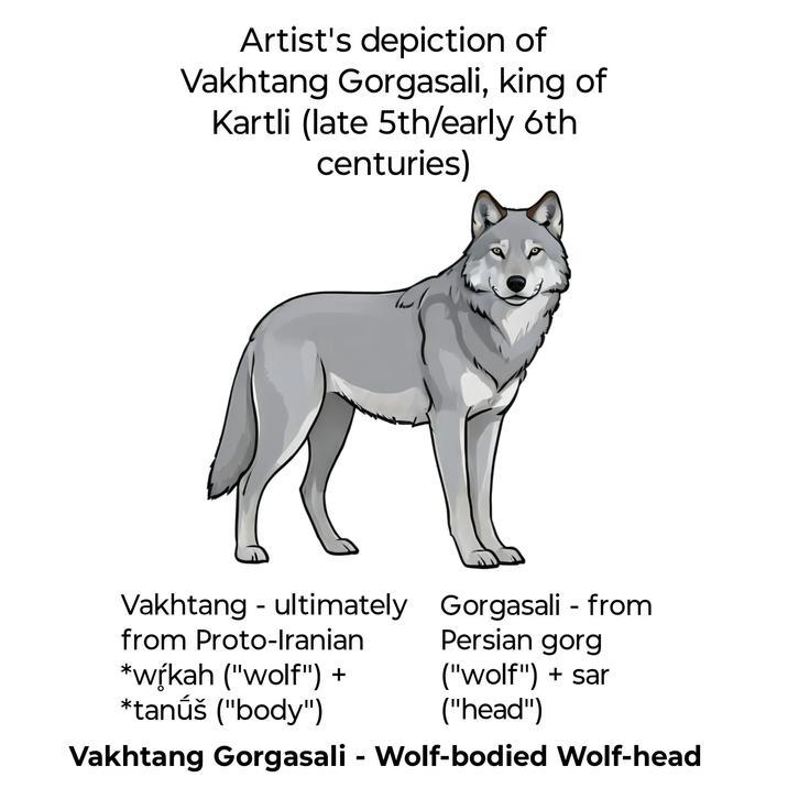 Artist's depiction of Vakhtang Gorgasali, king of Kartli (late 5th/early 6th centuries) Vakhtang - ultimately from Proto-Iranian *wŕkah ("wolf") + *tanúš ("body") Gorgasali - from Persian gorg ("wolf") + sar ("head") Vakhtang Gorgasali - Wolf-bodied Wolf-head