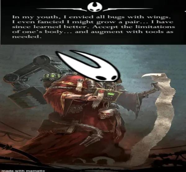 In my youth, I envied all bugs with wings. I even fancied I might grow a pair... I have since learned better. Accept the limitations of one's body... and augment with tools as needed. made with mematic 2727