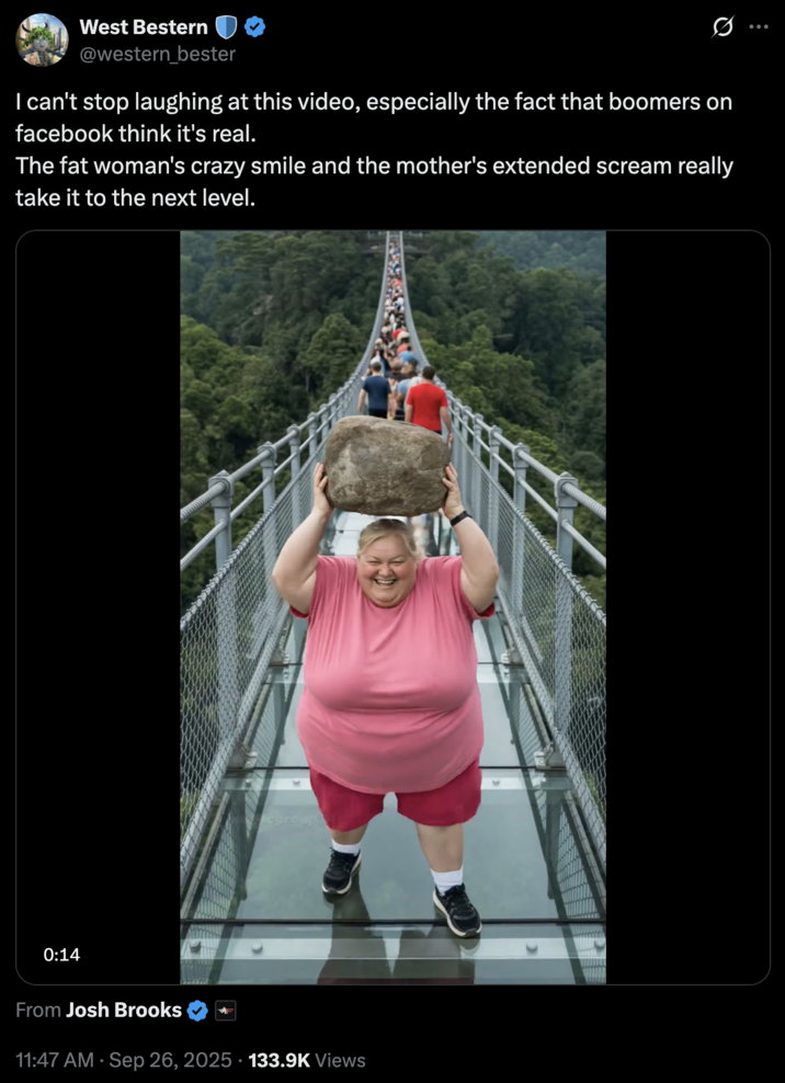 I can't stop laughing at this video, especially the fact that boomers on facebook think it's real. A "tweet":https://knowyourmeme.com/memes/sites/twitter-x about the "AI Video":https://knowyourmeme.com/memes/cultures/ai-video of a woman breaking a glass bridge by jumping backward with a big rock.