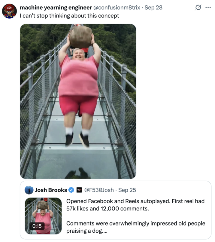 I can’t stop thinking about this concept A "tweet":https://knowyourmeme.com/memes/sites/twitter-x about the "AI Video":https://knowyourmeme.com/memes/cultures/ai-video of a woman breaking a glass bridge by jumping backward with a big rock.