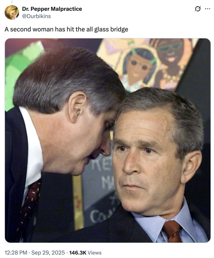 A second woman has hit the all glass bridge A "George Bush Learning About 9/11":https://knowyourmeme.com/memes/george-bush-learning-about-911 meme about the "AI Video":https://knowyourmeme.com/memes/cultures/ai-video of a woman breaking a glass bridge by jumping backward with a big rock.
