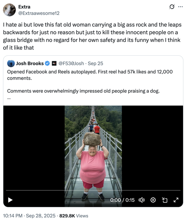 A "tweet":https://knowyourmeme.com/memes/sites/twitter-x about the "AI Video":https://knowyourmeme.com/memes/cultures/ai-video of a woman breaking a glass bridge by jumping backward with a big rock.