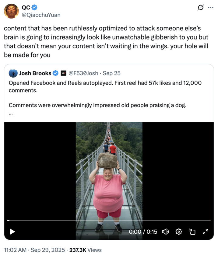 A "tweet":https://knowyourmeme.com/memes/sites/twitter-x about the "AI Video":https://knowyourmeme.com/memes/cultures/ai-video of a woman breaking a glass bridge by jumping backward with a big rock.