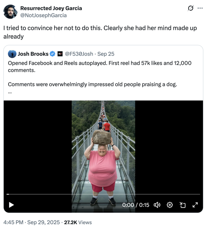 A "tweet":https://knowyourmeme.com/memes/sites/twitter-x about the "AI Video":https://knowyourmeme.com/memes/cultures/ai-video of a woman breaking a glass bridge by jumping backward with a big rock.
