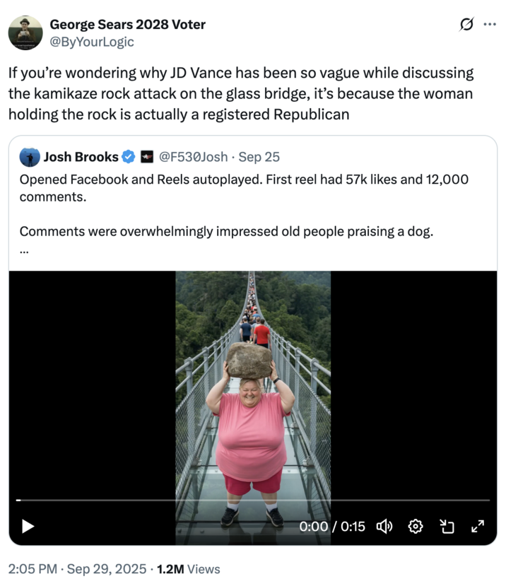 If you’re wondering why JD Vance has been so vague while discussing the kamikaze rock attack on the glass bridge, it’s becaus A "tweet":https://knowyourmeme.com/memes/sites/twitter-x about the "AI Video":https://knowyourmeme.com/memes/cultures/ai-video of a woman breaking a glass bridge by jumping backward with a big rock.