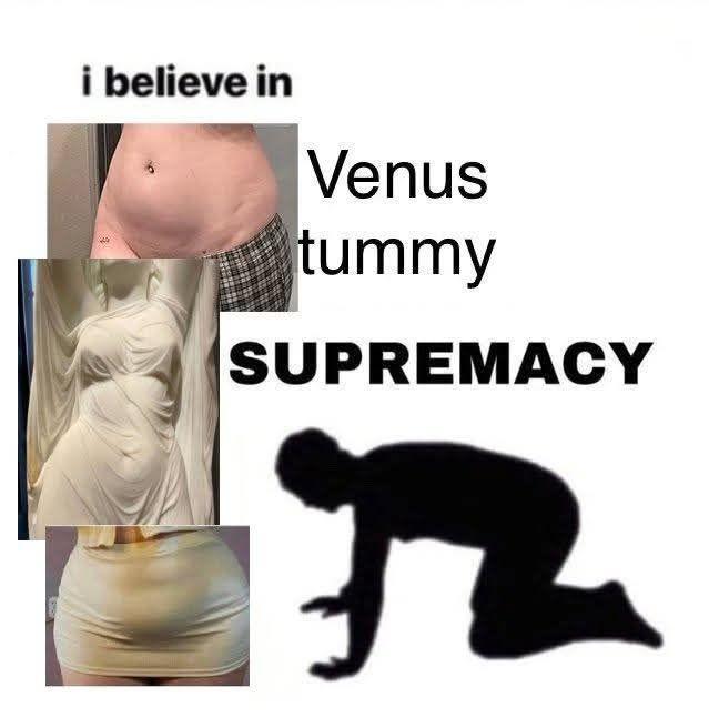 I Believe In Venus Tummy Supremacy An "I Believe In Supremacy":https://knowyourmeme.com/memes/i-believe-in-supremacy meme. The meme is about loving the Venus Tummy.