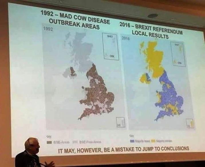 1992-MAD COW DISEASE OUTBREAK AREAS 1992 2016-BREXIT REFERENDUM LOCAL RESULTS THET 2016 BSE-Ames ESE-FA IT MAY, HOWEVER, BE A MISTAKE TO JUMP TO CONCLUSIONS