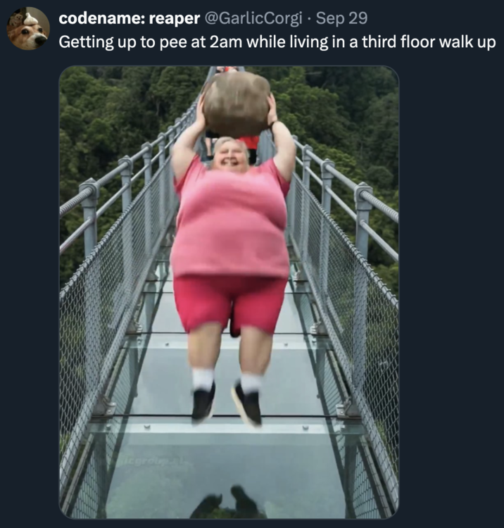 A "meme":https://knowyourmeme.com/memes/memes in "tweet":https://knowyourmeme.com/memes/sites/twitter-x form joking about the "AI videos":https://knowyourmeme.com/memes/cultures/ai-video of women breaking glass bridges with giant rocks.