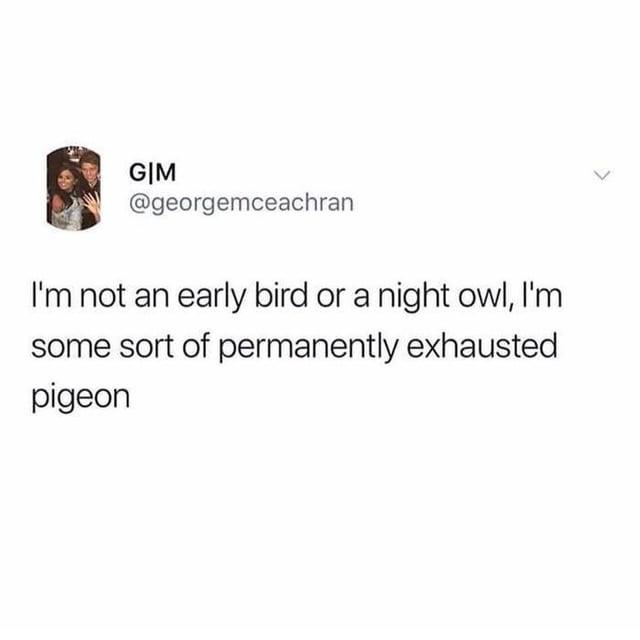 > GIM @georgemceachran I'm not an early bird or a night owl, I'm some sort of permanently exhausted pigeon