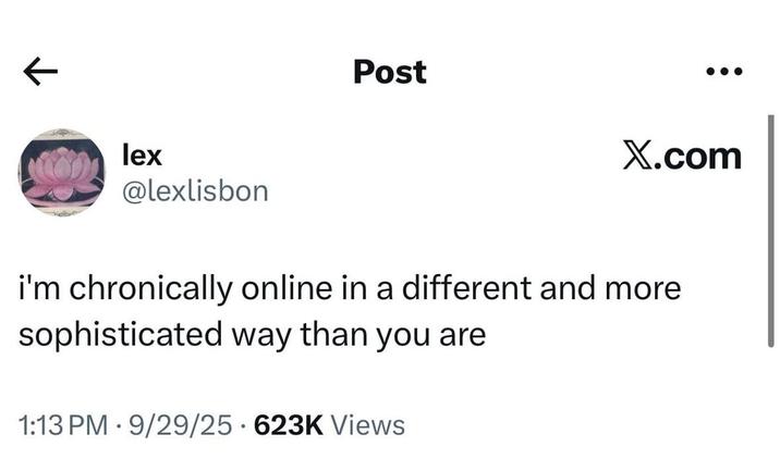K Colex @lexlisbon Post X.com i'm chronically online in a different and more sophisticated way than you are 1:13 PM 9/29/25 623K Views