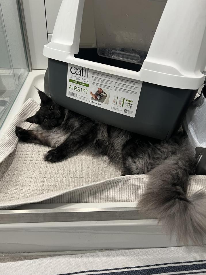 catif LITTER BOX JUMBO GÉANT AIRSIFT Ash CATIT.COM - a de area canada con tapa frante Air de avia fechada com tan anampe Ruime gesleten kattenbak met Airsi ferhouder