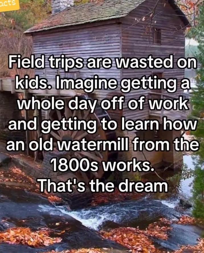 acts Field trips are wasted on kids. Imagine getting a whole day off of work and getting to learn how an old watermill from the 1800s works. That's the dream