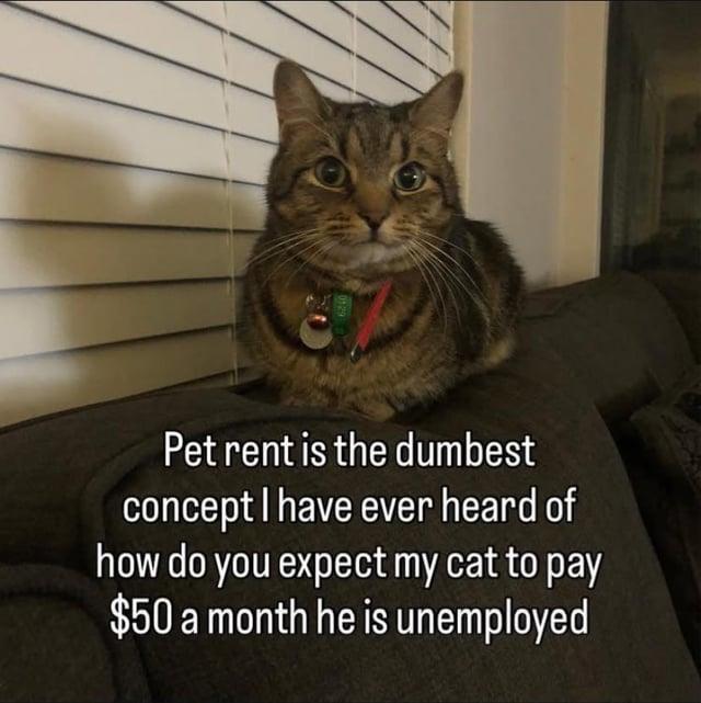 Pet rent is the dumbest concept I have ever heard of how do you expect my cat to pay $50 a month he is unemployed