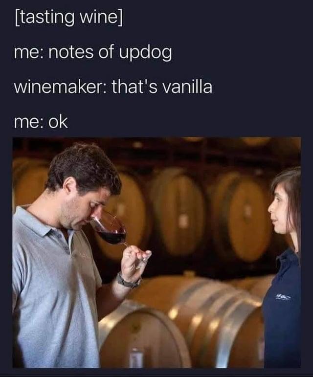 [tasting wine] me: notes of updog winemaker: that's vanilla me: ok