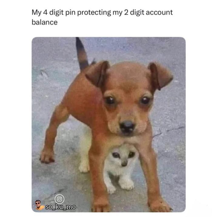 My 4 digit pin protecting my 2 digit account balance so_ku_mo