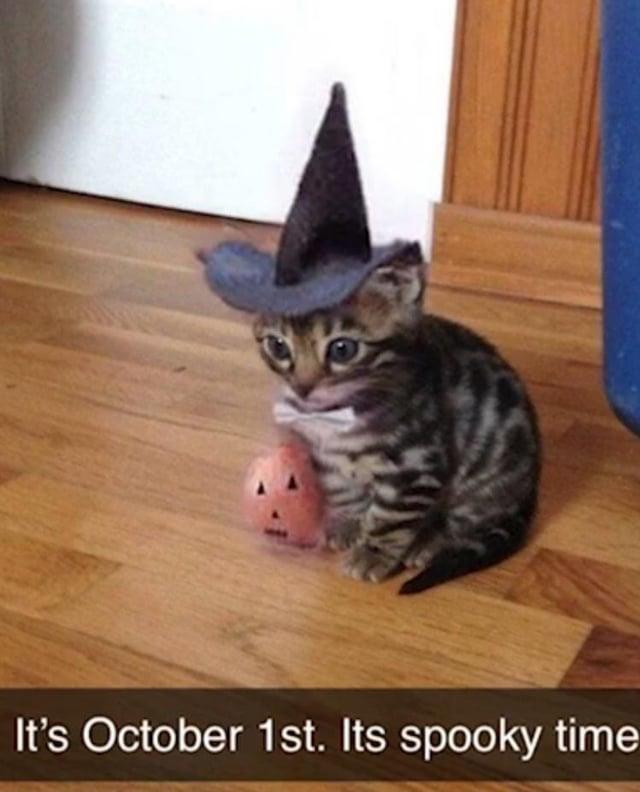 It's October 1st. Its spooky time