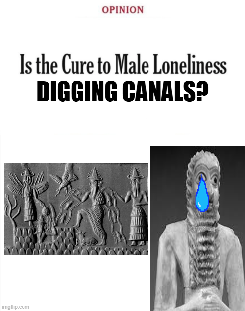 OPINION Is the Cure to Male Loneliness DIGGING CANALS? imgflip.com