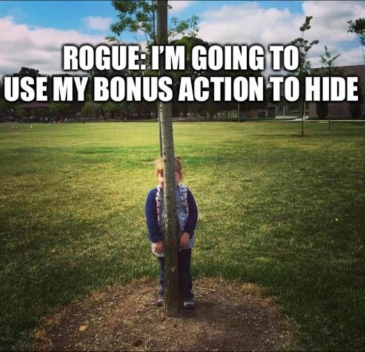 ROGUE: I'M GOING TO USE MY BONUS ACTION TO HIDE
