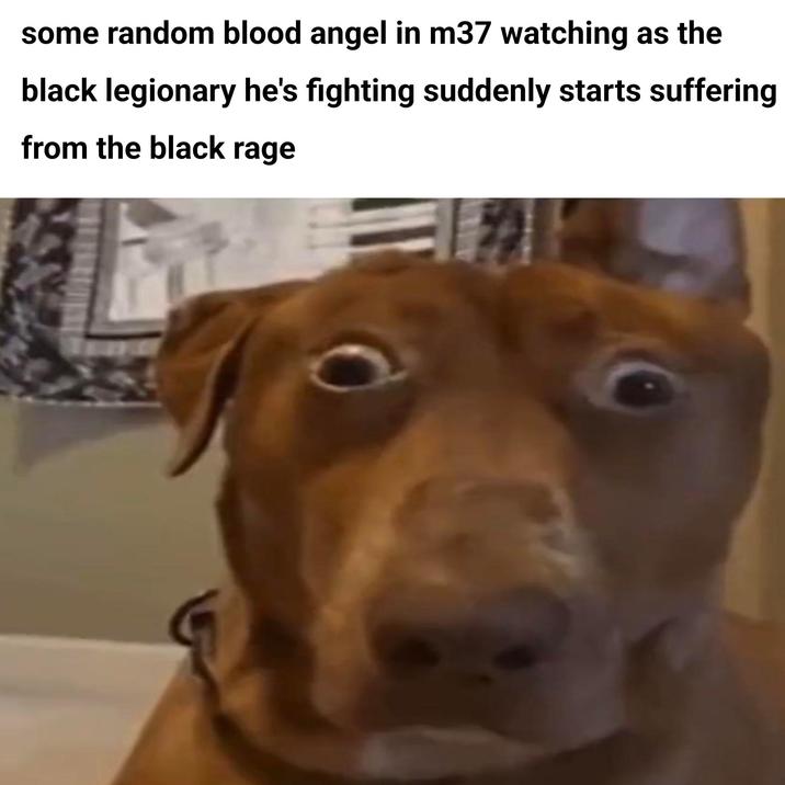 some random blood angel in m37 watching as the black legionary he's fighting suddenly starts suffering from the black rage