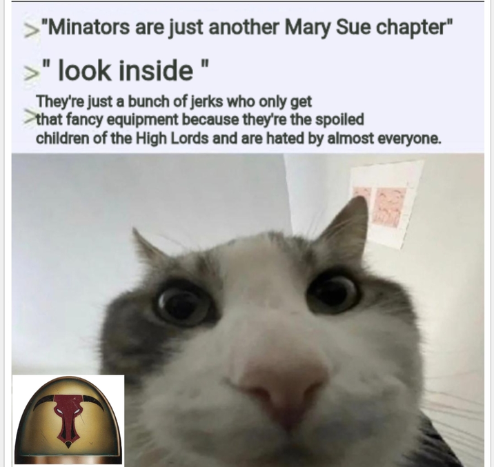 "Minators are just another Mary Sue chapter" >" " look inside " They're just a bunch of jerks who only get that fancy equipment because they're the spoiled children of the High Lords and are hated by almost everyone.