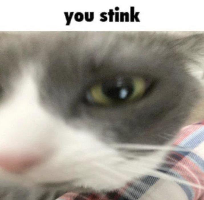 you stink