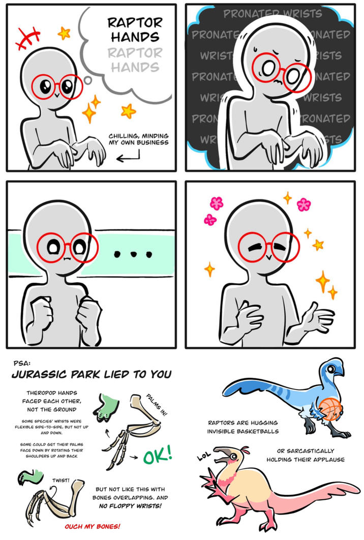 PRONATED WRISTS RAPTOR HANDS PRONATE ONATED RAPTOR HANDS WRIST RISTS PRONAT NATED WRI WRISTS PRON CHILLING, MINDING MY OWN BUSINESS WR RONATED STS PSA: JURASSIC PARK LIED TO YOU THEROPOD HANDS FACED EACH OTHER, NOT THE GROUND SOME SPECIES' WRISTS WERE FLEXIBLE SIDE-TO-SIDE, BUT NOT UP AND DOWN. SOME COULD GET THEIR PALMS FACE DOWN BY ROTATING THEIR SHOULDERS UP AND BACK ་ PALMS IN! TWIST! OR SARCASTICALLY HOLDING THEIR APPLAUSE OK! BUT NOT LIKE THIS WITH BONES OVERLAPPING. AND NO FLOPPY WRISTS! LOL RAPTORS ARE HUGGING INVISIBLE BASKETBALLS OUCH MY BONES!