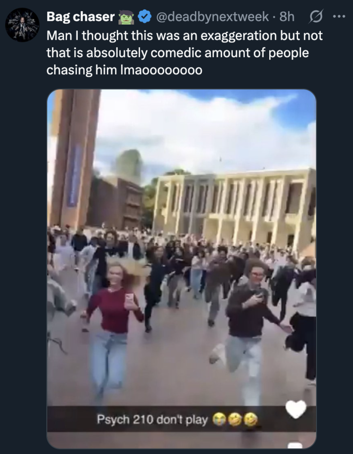 Bag chaser @deadbynextweek. 8h Man I thought this was an exaggeration but not that is absolutely comedic amount of people chasing him Imaoooooooo Psych 210 don't play