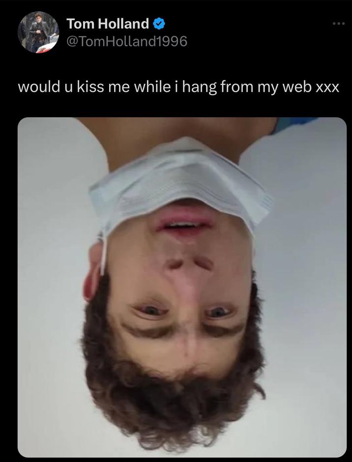 An image of the person who hacked "_Spider-Man_":https://knowyourmeme.com/memes/subcultures/spider-man actor "Tom Holland's":https://knowyourmeme.com/memes/people/tom-holland Twitter account to promote a cryptocurrency scam "in April 2024":https://www.hindustantimes.com/entertainment/hollywood/hacked-tom-holland-caught-in-a-web-of-spiderverse-crypto-scam-cryptic-tweets-surface-online-101713312053133.html, who appeared to be the same person as the University of Washington Nazi.