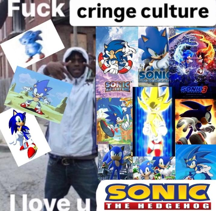 F--- cringe culture I love u FALLOUT SONIC™ ADVENTURE SONIC THE HEDGEHD SONIC SONIC THE HEDGEHOG