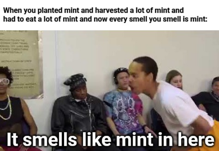 When you planted mint and harvested a lot of mint and had to eat a lot of mint and now every smell you smell is mint: It smells like mint in here