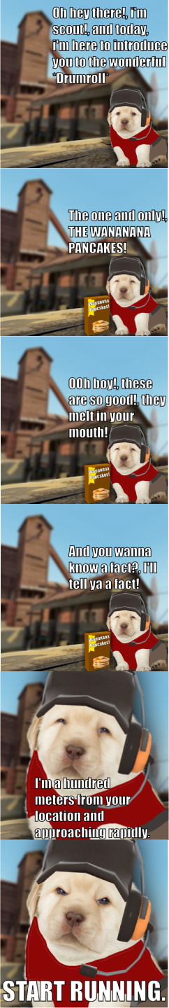 Oh hey there!, im Seoul!, and today, Tim here to introduce you to the wonderful Drumroll The one and only THE WANANANA PANCAKES! 00h boy! These are so good! they melt in your mouth! And you wanna know a fact, tell ya a fact! I'ma hundred meters from your location and approaching minily. START RUNNING.