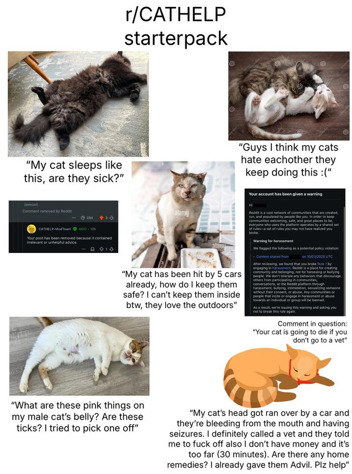 "My cat sleeps like this, are they sick?" r/CATHELP starterpack "Guys I think my cats hate eachother they keep doing this:(" Your account has been given a warning [deleted] Comment removed by Reddit alamy 284 +34 CATHELP-ModTeam MOD 10h Your post has been removed because it contained irrelevant or unhelpful advice. 413 alamy "My cat has been hit by 5 cars already, how do I keep them safe? I can't keep them inside btw, they love the outdoors" Hi Reddit is a vast network of communities that are created, run, and populated by people like you. In order to keep communities welcoming, safe, and great places to be, everyone who uses the platform operates by a shared set of rules-a set of rules you may not have realized you broke. Warning for harassment We flagged the following as a potential policy violation: • Content shared from on 10/03/2025 UTC After reviewing, we found that you broke Rule 1 by engaging in harassment. Reddit is a place for creating community and belonging, not for harassing or bullying people. We don't tolerate any behaviors that discourage others from participating in communities, conversations, or the Reddit platform through harassment, bullying, intimidation, sexualizing someone without their consent, or abuse. Any communities or people that incite or engage in harassment or abuse towards an individual or group will be banned. As a result, we're issuing this warning and asking you not to break this rule again. Comment in question: "Your cat is going to die if you don't go to a vet" "What are these pink things on my male cat's belly? Are these ticks? I tried to pick one off" "My cat's head got ran over by a car and they're bleeding from the mouth and having seizures. I definitely called a vet and they told me to f--- off also I don't have money and it's too far (30 minutes). Are there any home remedies? I already gave them Advil. Plz help"