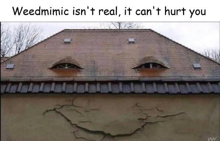 Weedmimic isn't real, it can't hurt you Coolwearesake WW