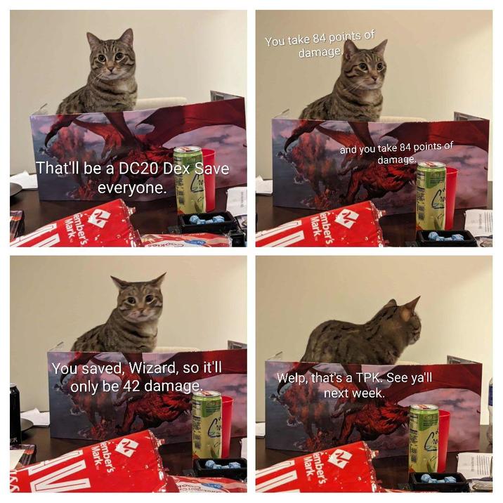 You take 84 points of damage ember's Mark That'll be a DC20 Dex Save everyone. and you take 84 points of damage. Mark ember's ember's Mark You saved, Wizard, so it'll only be 42 damage. Welp, that's a TPK. See ya'll next week. ember's MarkM