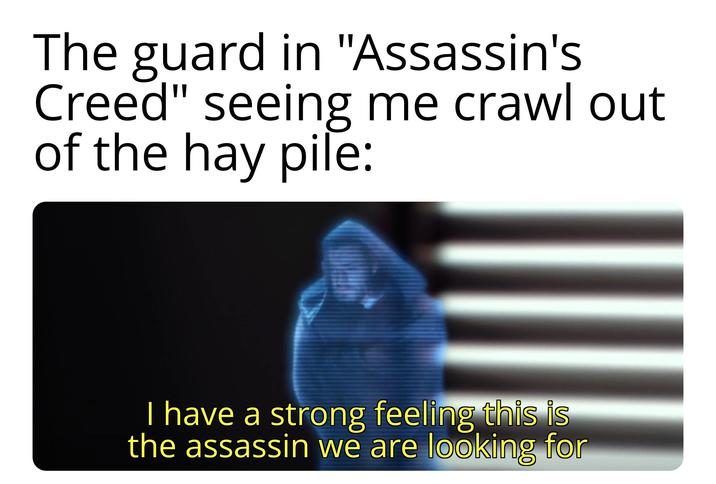 The guard in "Assassin's Creed" seeing me crawl out of the hay pile: I have a strong feeling this is the assassin we are looking for