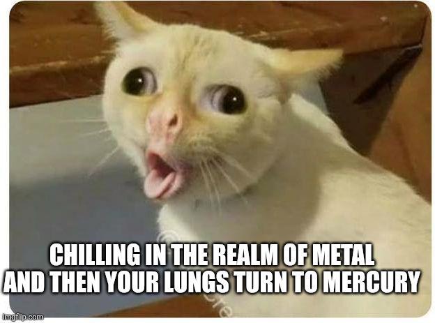CHILLING IN THE REALM OF METAL AND THEN YOUR LUNGS TURN TO MERCURY imgflip.com re
