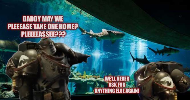 DADDY MAY WE PLEEEASE TAKE ONE HOME? PLEEEEASSEE??? WE'LL NEVER ASK FOR ANYTHING ELSE AGAIN!