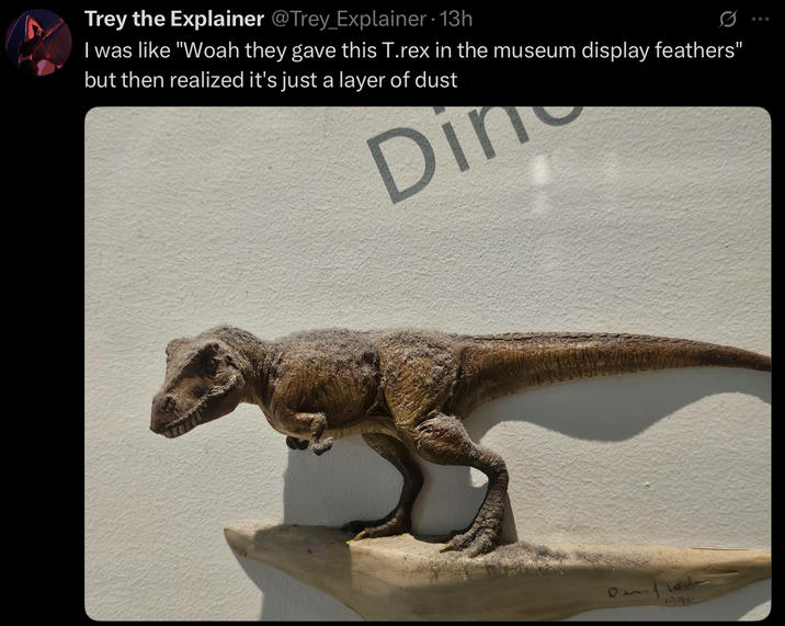 Trey the Explainer @Trey_Explainer · 13h I was like "Woah they gave this T.rex in the museum display feathers" but then realized it's just a layer of dust Din 1996