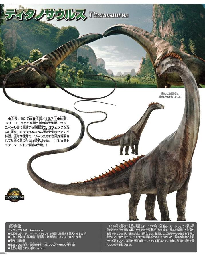 ティタノサウルス Titanosaurus ぜんちょう メートル ぜんこう メートル たいじゅう ●全長/20.7m 全高/15.7m 体重 りく さいだいせいぶつ 13t ゾーラたちが狙う陸の最大生物。 サン・ せいそく ちゅうきゃくい ユベール島に生息する竜脚類で、オスとメスが互 きゅうあいこうどう いに頭をこすりつけるような求愛行動をとるのが とくちょう あんこう せいしつ さいしゅ 特徴。温厚な性質で、 ゾーラたちに血液を採取さ まった れても全く意に介さぬ様子だった。 「ジュラシ ック・ワールド/復活の大地』) だいち ジュラシック・ワールド 頭部には展開可能なヒレ のトサカを持っている。 きょうりゅうせつ 【恐竜解説】 ティタノサウルス Titanosaurus い ●名前の由来/ティーターン (ギリシャ神話に登場する巨人) のトカゲ い ●分類 爬虫類・恐竜類・電盤類・竜脚形類・ティタノサウルス類 しょくせい しょくぶつしょく ●食性/植物食 ●生きていた時代圭紀南 (約7000~6600年) ばっせん ● 化石が発見された場所/インド かくじつ きょうりゅう 1828年に最初の化石が発見され、1877年に命名された、ひじょうに長い 究の歴史を持つ電脚形類。 かつては世界中に分布を広げ、極めて繁栄した恐竜だ と思われていたが、研究が進んだ現在では、確実にこの恐竜のものとされるの 部位はインドで見つかったわずかな脊椎骨のみとされている。 近藤な仲間の化岩 から推定すると、実際の全長は大きくても20mほどで、 背中に骨の装甲を備 えていた可能性がある。 じっさい