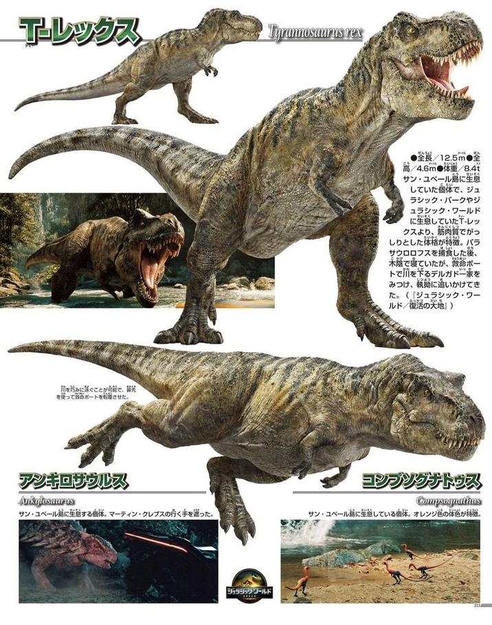T-レックス Tyrannosaurus rex 川を巧みに泳ぐことが可能で、 開発 を使って救命ボートを転覆させた。 アンキロサウルス ぜんちょう ●全長/12.5m 全 メートル たいじゅう 高/4.6m体重/8.4t とう せいそく サン・ユベール島に生息 こたい していた個体で、 ジュ ラシックパークやジ ュラシック・ワールド せいそく に生息していたT-レッ きんにくしつ クスより、 筋肉質でがっ . いかく とくちょう しりとした体格が特徴。 パラ ほしょく のち サウロロフスを捕食した後、 きゅうめい 木陰で寝ていたが、 救命ボー で川を作るデルガドー象を みつけ、 執拗に追いかけてき た。 『ジュラシック・ワー ルド/復活の大地』) ふっかつ だいち コンプングナトゥス Ankylosaurus サンユベール島に生息する個体。 マーティン・クレブスの行く手を遮った。 Compsognathus サンユベール島に生息している個体。 オレンジ色の体色が特徴。 ジュラシック・ワールド