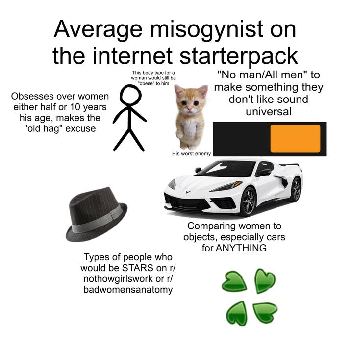 Average misogynist on the internet starterpack Obsesses over women either half or 10 years his age, makes the "old hag" excuse This body type for a woman would still be "obese" to him "No man/All men" to make something they don't like sound universal His worst enemy B Types of people who would be STARS on r/ nothowgirlswork or r/ badwomensanatomy Comparing women to objects, especially cars for ANYTHING