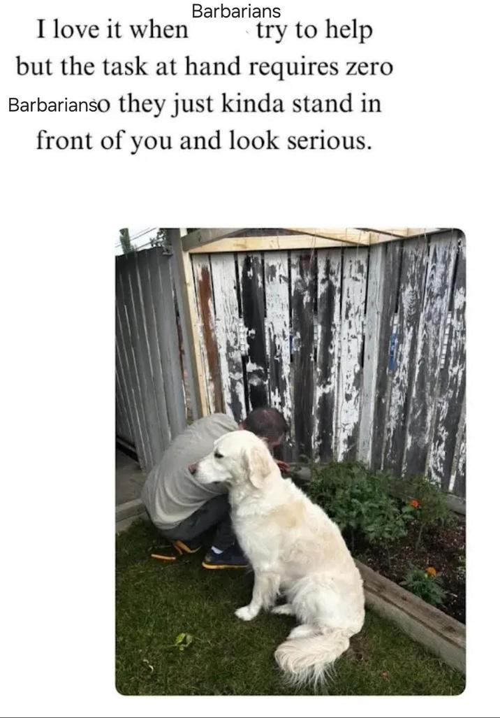 Barbarians I love it when try to help but the task at hand requires zero Barbarianso they just kinda stand in front of you and look serious.