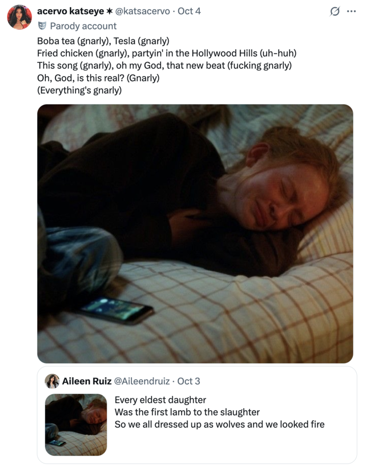 X user @katsacervo posted lyrics from the girl group Katseye's song "Gnarly" to mock X user @Aileendruiz for suggesting that she cried to the Taylor Swift lyrics, "So we all dressed up as wolves and we looked fire." The tweet read, "Boba tea (gnarly), Tesla (gnarly) / Fried chicken (gnarly), partyin' in the Hollywood Hills (uh-huh)."