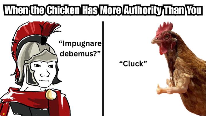 When the Chicken Has More Authority Than You "Impugnare debemus?" "Cluck"