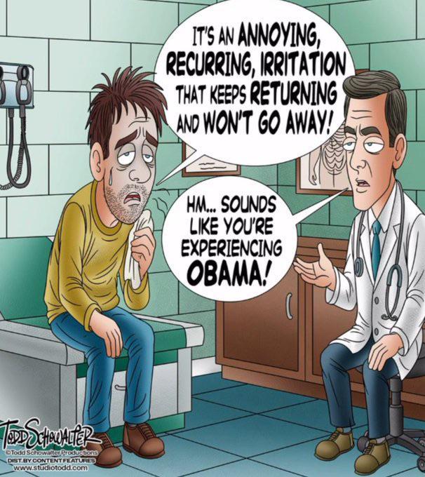 TODD SCHOWALTER Todd Schowalter Productions DIST.BY CONTENT FEATURES www.studiotodd.com IT'S AN ANNOYING, RECURRING, IRRITATION THAT KEEPS RETURNING AND WON'T GO AWAY! HM... SOUNDS LIKE YOU'RE EXPERIENCING OBAMA!