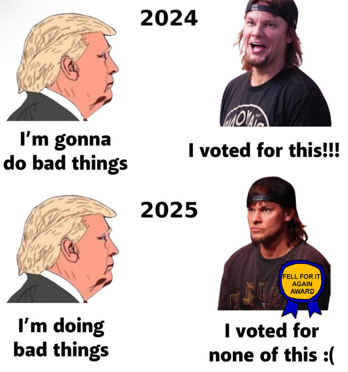 2024 3HT I'm gonna do bad things I voted for this!!! 2025 I'm doing bad things FELL FOR IT AGAIN AWARD I voted for none of this :(