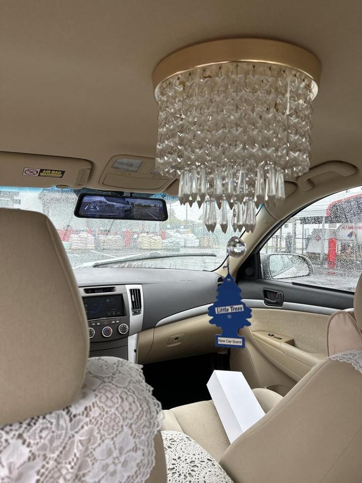 Little Trees New Car Scent