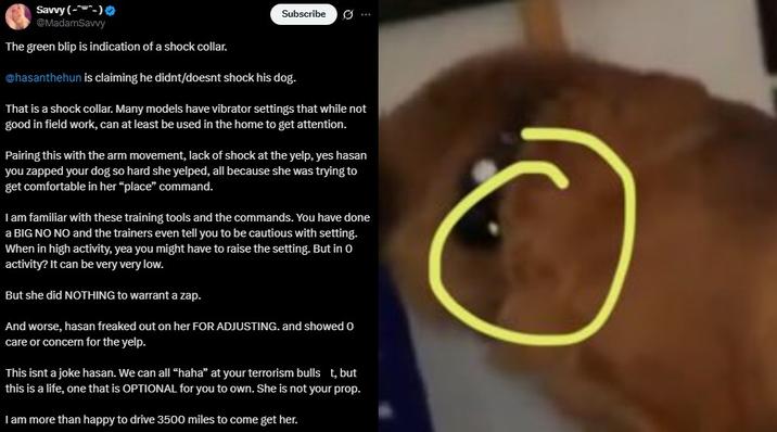 The green blip is indication of a shock collar A post theorizing that Hasan used a shock collar on his dog. The post points out the green blip on the collar.