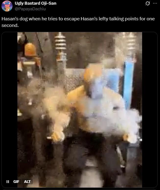 Ugly Bastard Oji-San @PapayaDachiu 0 Hasan's dog when he tries to escape Hasan's lefty talking points for one second. II GIF ALT